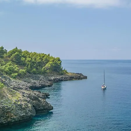 2 Bedroom Stunning In Praia a Mare